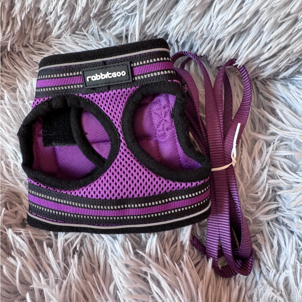 Purple Mesh Pet Harness with Leash